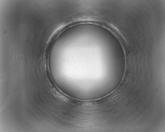 X0000055991408200509092007