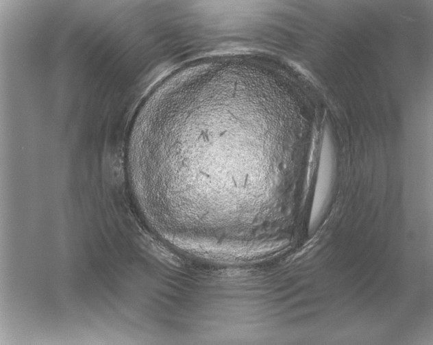 X0000055991409200509092007