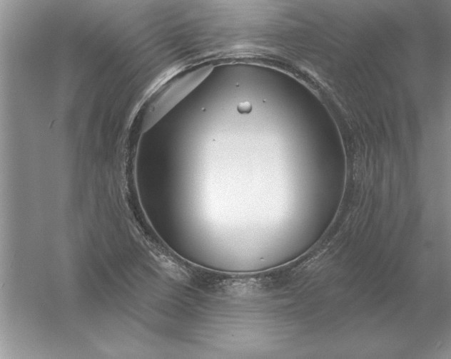 X0000055991410200509092007