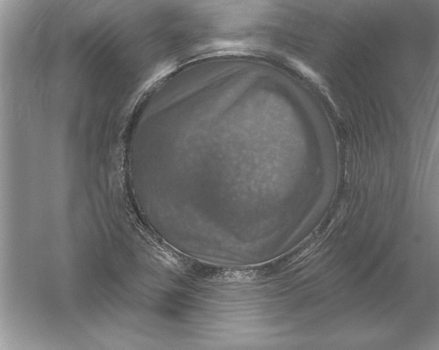 X0000055991411200509092007