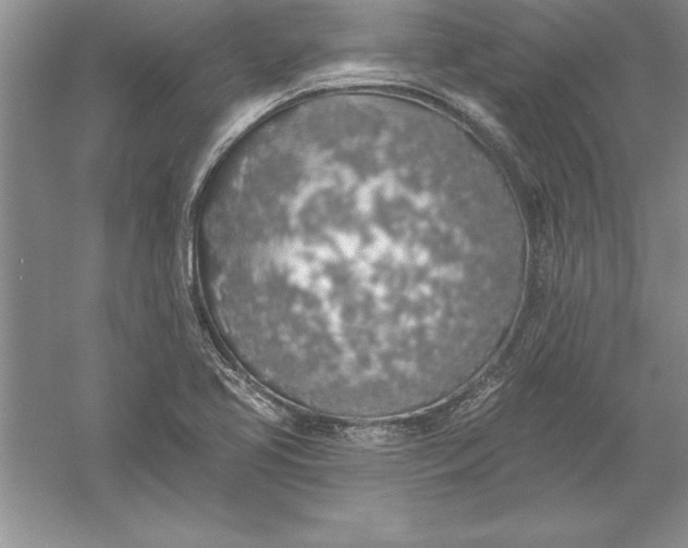 X0000055991413200509092007