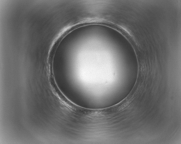 X0000055991414200509092007