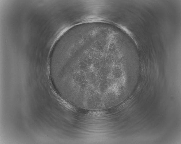 X0000055991415200509092007