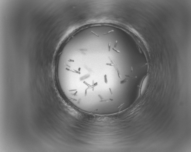 X0000055991416200509092007