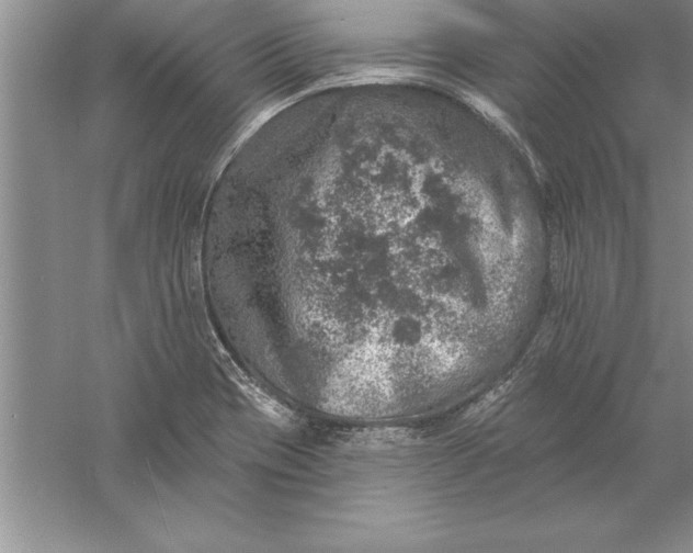 X0000055991417200509092007