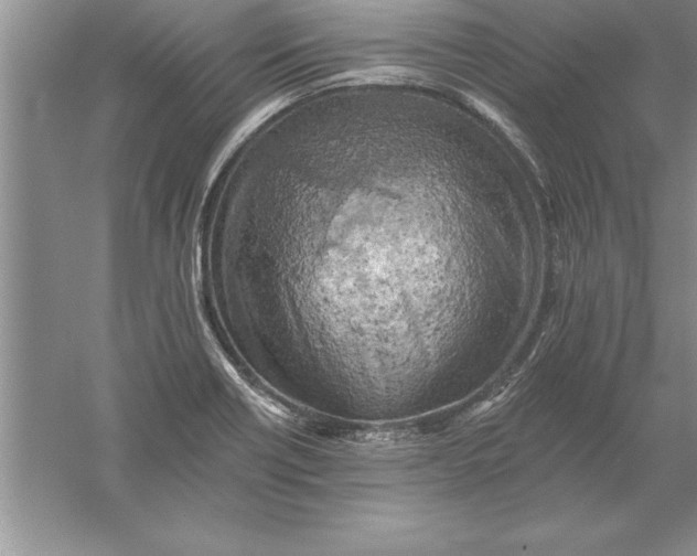 X0000055991418200509092007