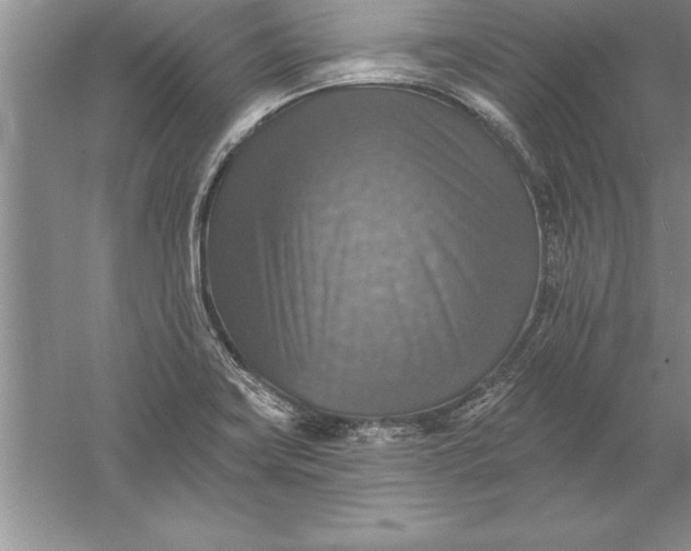 X0000055991419200509092007