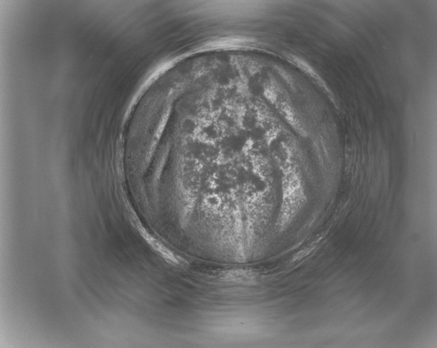 X0000055991421200509092007