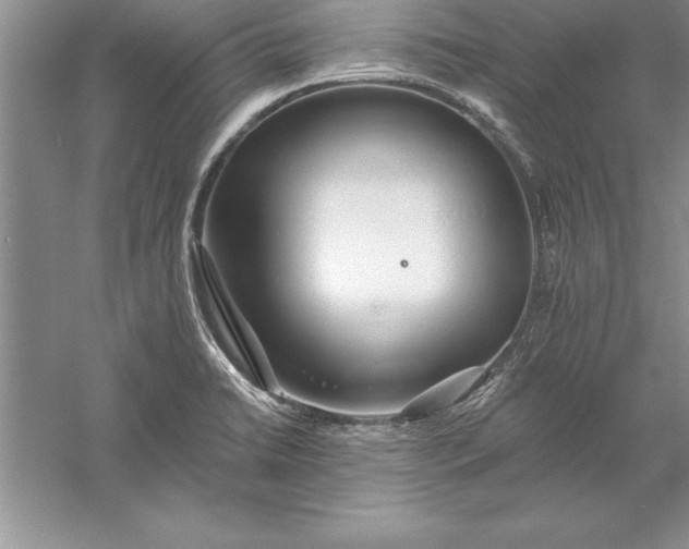 X0000055991422200509092007