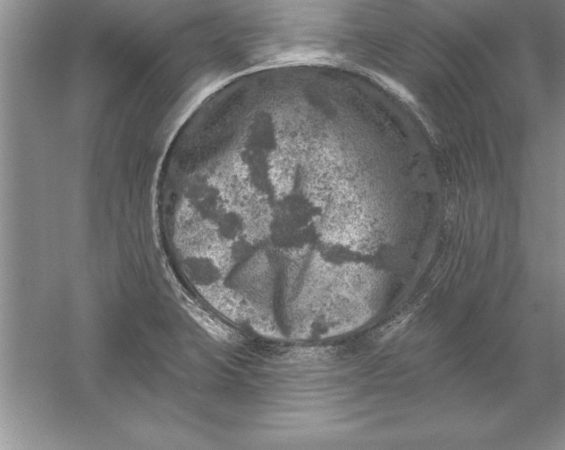 X0000055991423200509092007