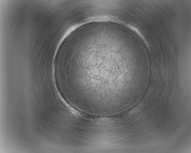 X0000055991424200509092007