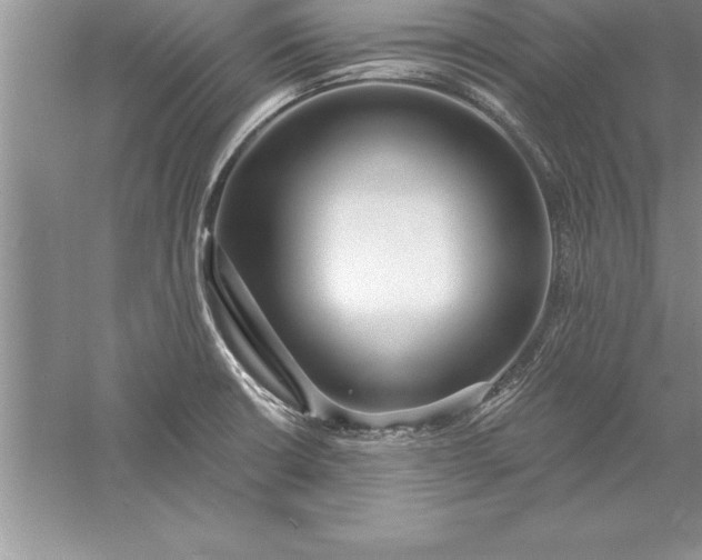 X0000055991426200509092007