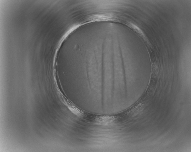 X0000055991427200509092008