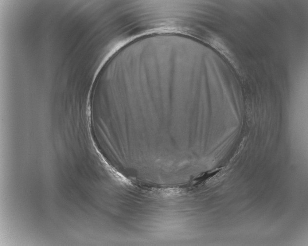 X0000055991428200509092008