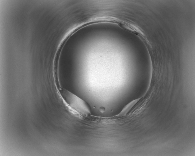 X0000055991430200509092008