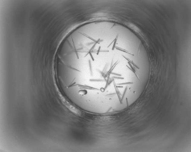 X0000055991431200509092008