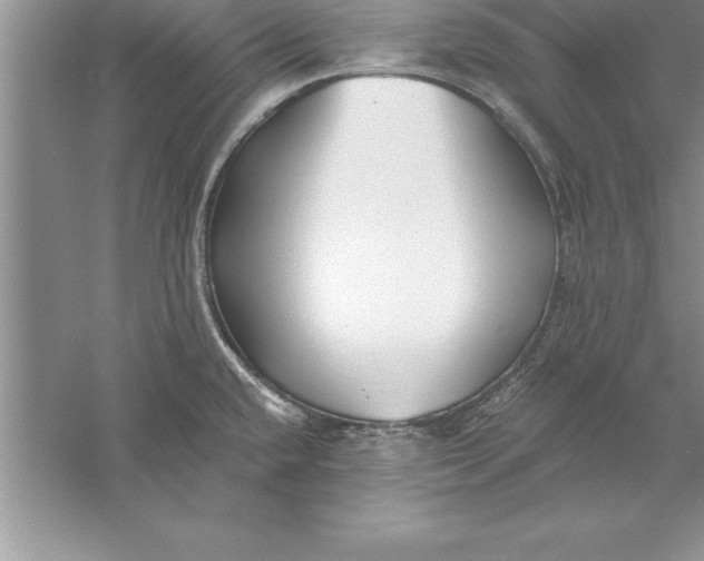 X0000055991432200509092008