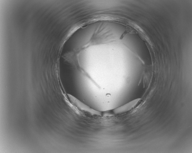 X0000055991433200509092008