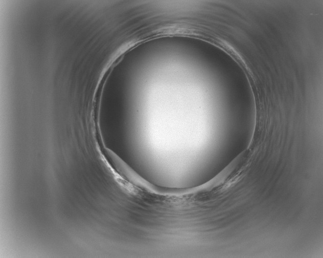 X0000055991434200509092008