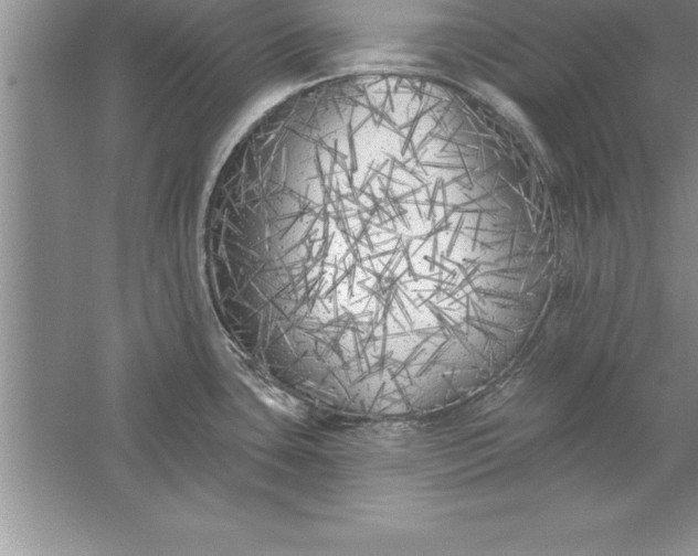 X0000055991435200509092008