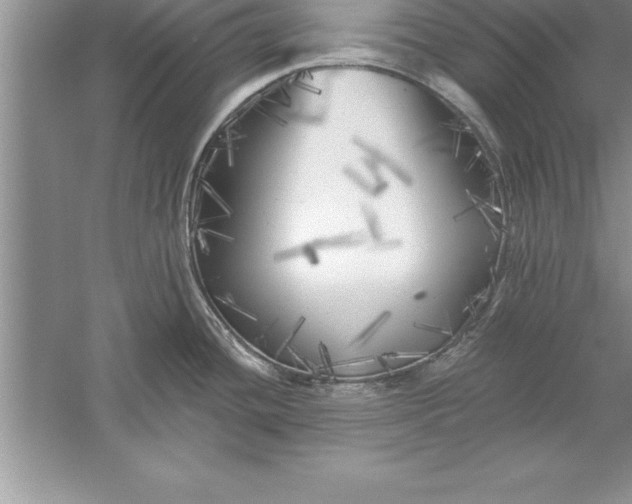 X0000055991436200509092008