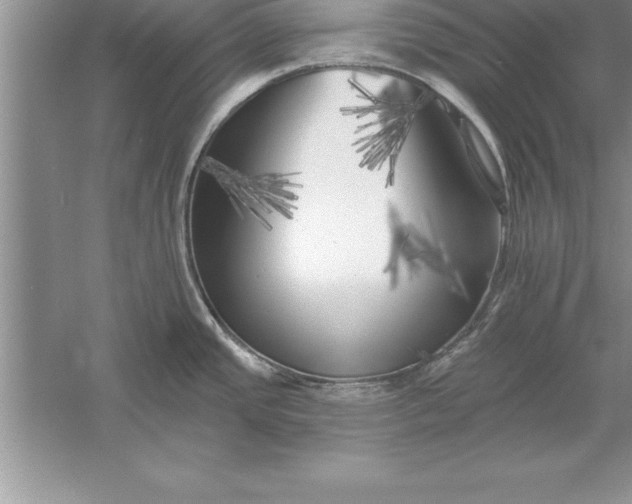 X0000055991437200509092008