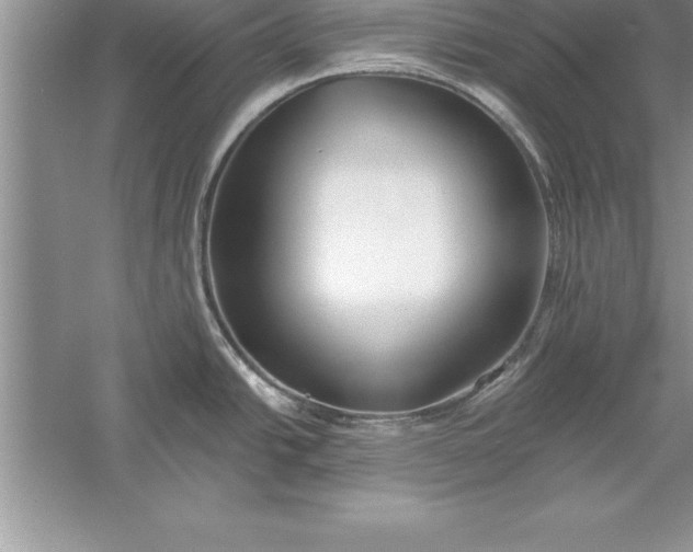 X0000055991438200509092008