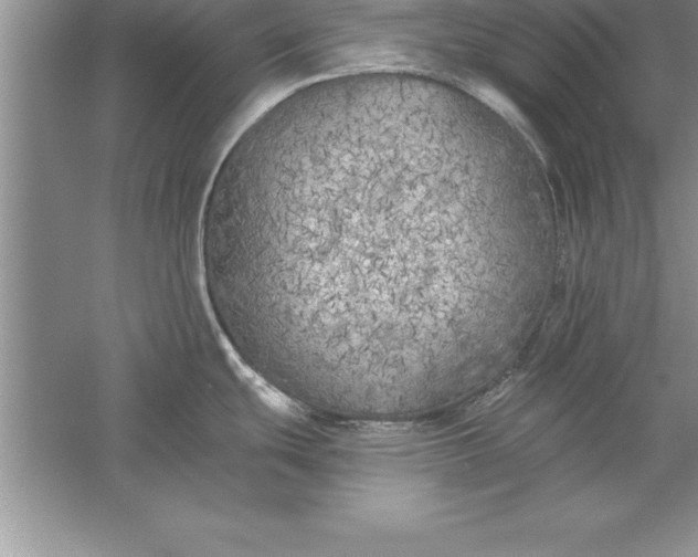 X0000055991439200509092008