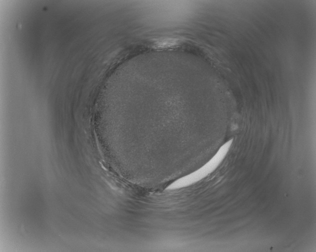 X0000055991441200509092007