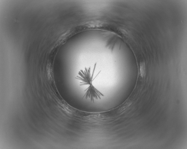 X0000055991444200509092007