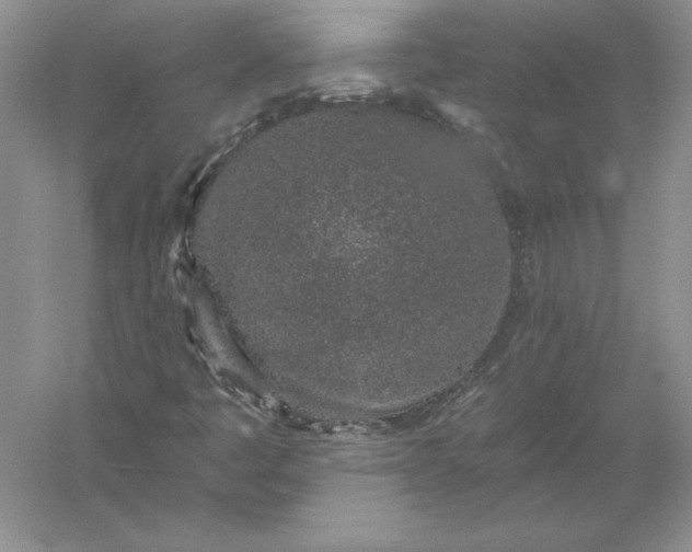 X0000055991445200509092007