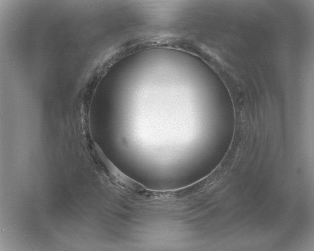 X0000055991447200509092007