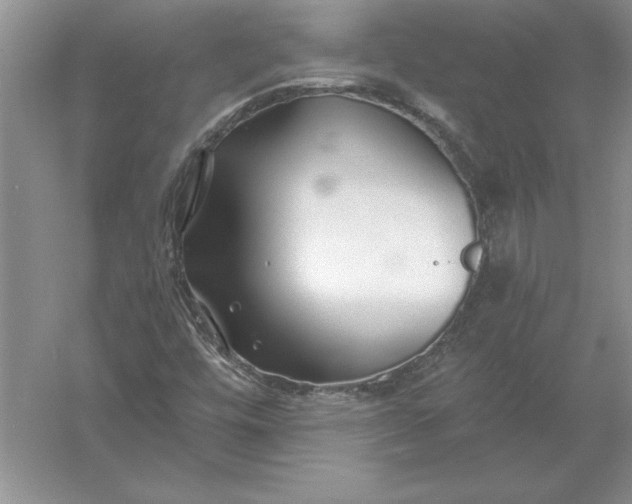 X0000055991448200509092007