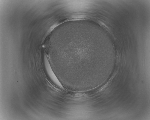 X0000055991449200509092007