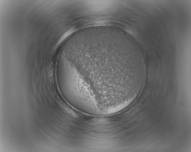 X0000055991450200509092007