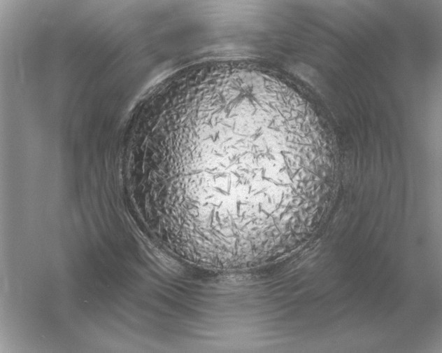 X0000055991451200509092007