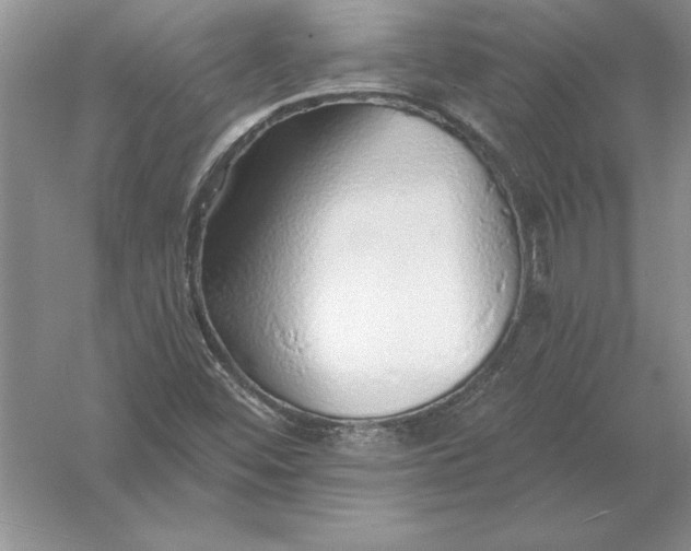 X0000055991452200509092007