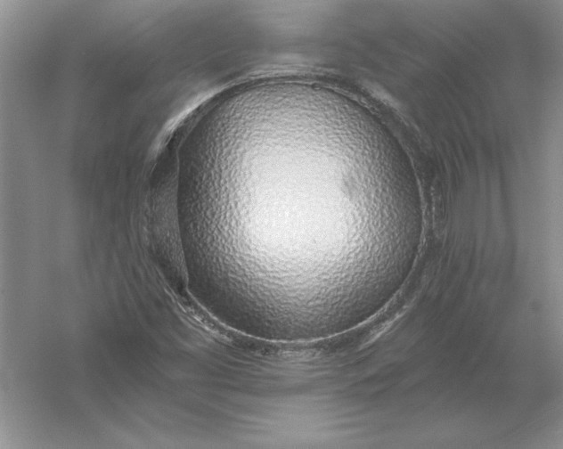 X0000055991453200509092007