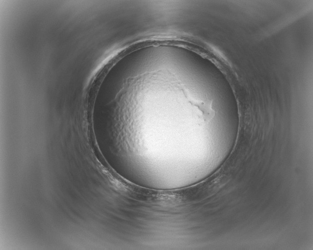 X0000055991456200509092007