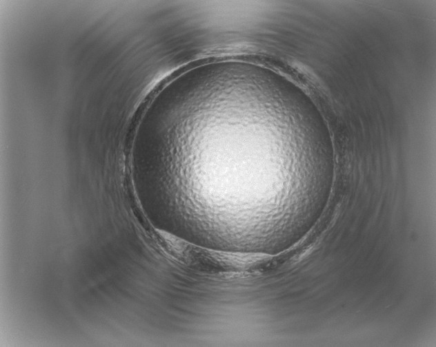 X0000055991457200509092007