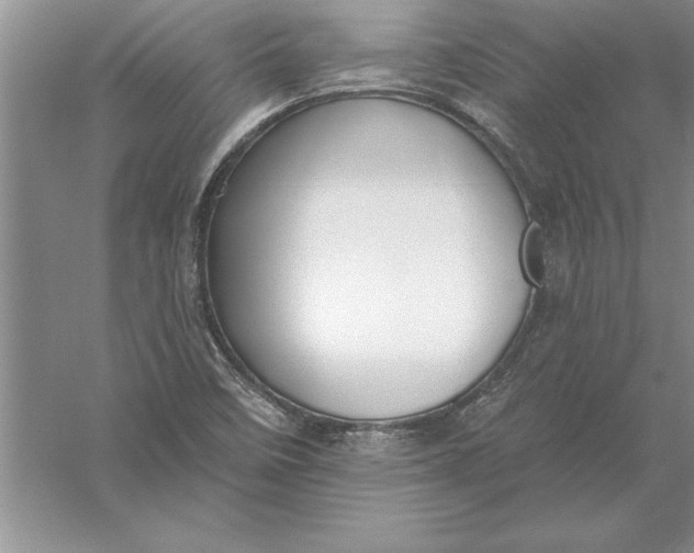 X0000055991458200509092007