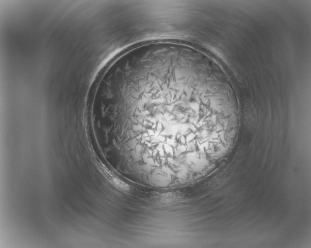 X0000055991460200509092007