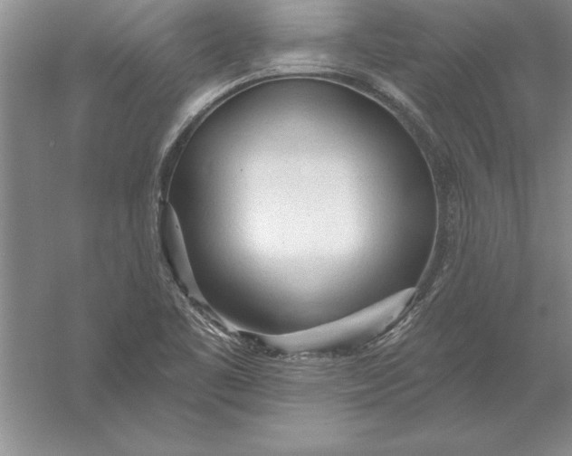 X0000055991461200509092007