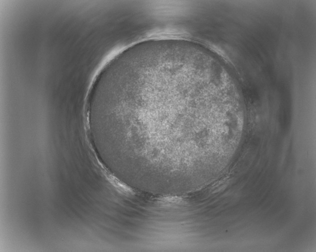 X0000055991462200509092007