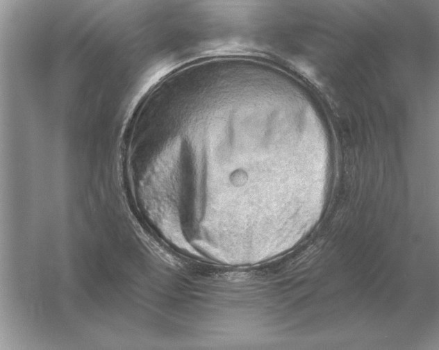 X0000055991463200509092007