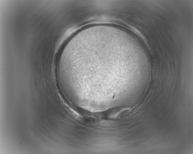 X0000055991464200509092007