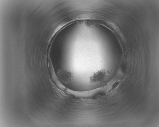 X0000055991465200509092007