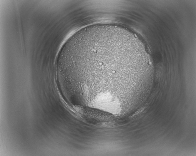 X0000055991467200509092006