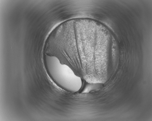 X0000055991468200509092006