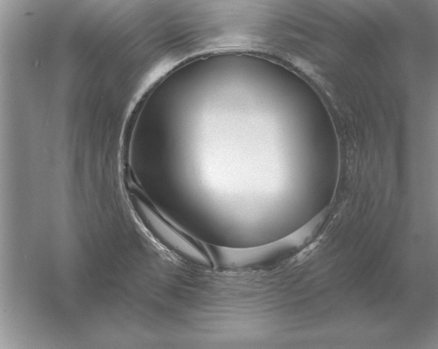 X0000055991469200509092006